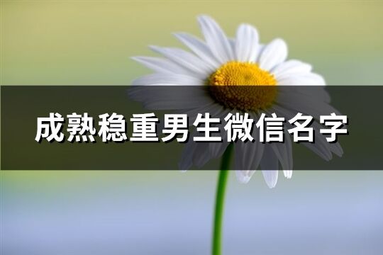 成熟稳重男生微信名字(精选2264个)