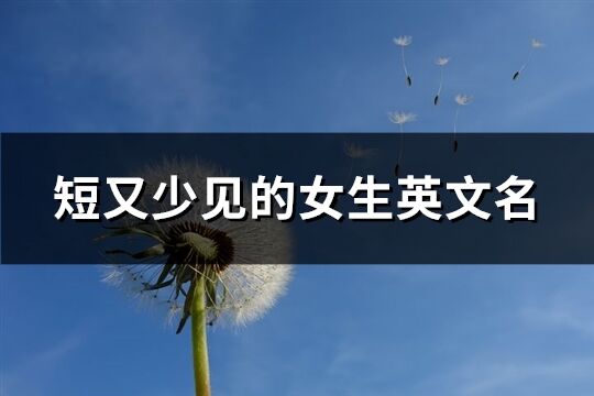 短又少见的女生英文名(精选130个)