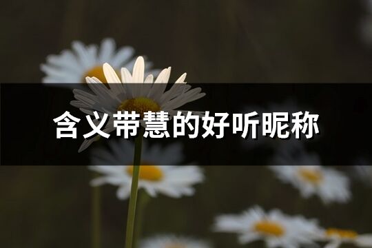 含义带慧的好听昵称(优选73个)