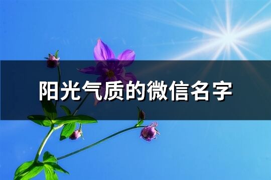 阳光气质的微信名字(优选1064个)