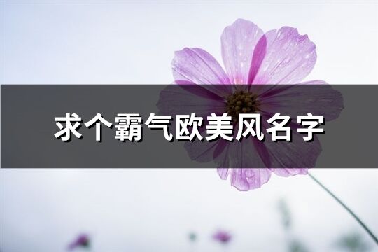 求个霸气欧美风名字(优选150个)