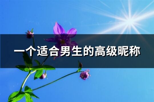 一个适合男生的高级昵称(优选317个)