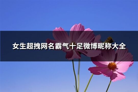 女生超拽网名霸气十足微博昵称大全(优选262个)