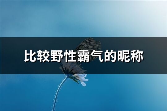 比较野性霸气的昵称(共226个)