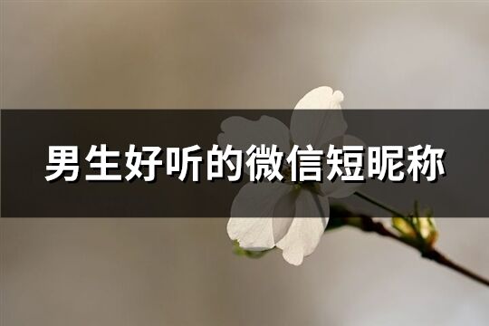 男生好听的微信短昵称(优选181个)