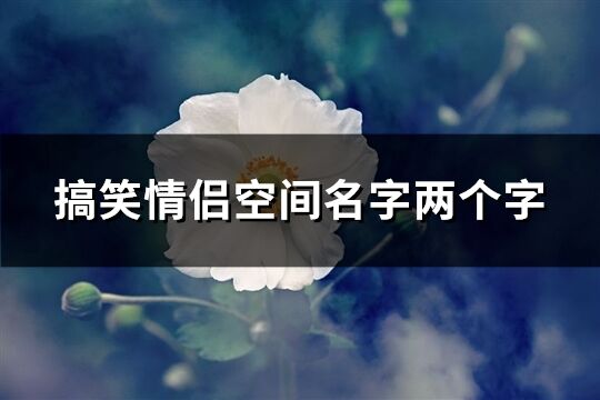 搞笑情侣空间名字两个字(精选386个)