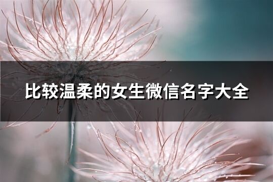 比较温柔的女生微信名字大全(优选501个)