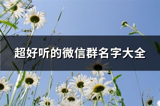 超好听的微信群名字大全(共70个)