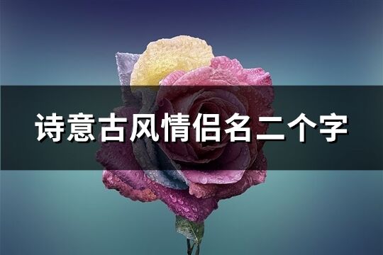 诗意古风情侣名二个字(优选130个)