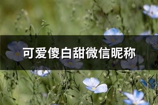 可爱傻白甜微信昵称(优选182个)