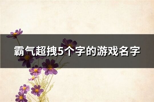 霸气超拽5个字的游戏名字(319个)