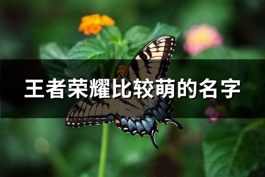 王者荣耀比较萌的名字(优选398个)