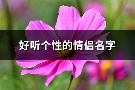 好听个性的情侣名字(207个)