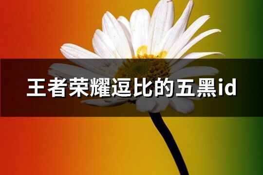 王者荣耀逗比的五黑id(共121个)