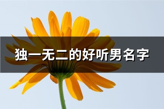 独一无二的好听男名字(114个)