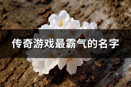 传奇游戏最霸气的名字(共330个)