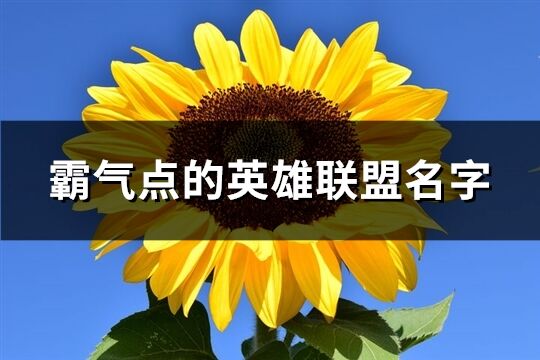 霸气点的英雄联盟名字(228个)