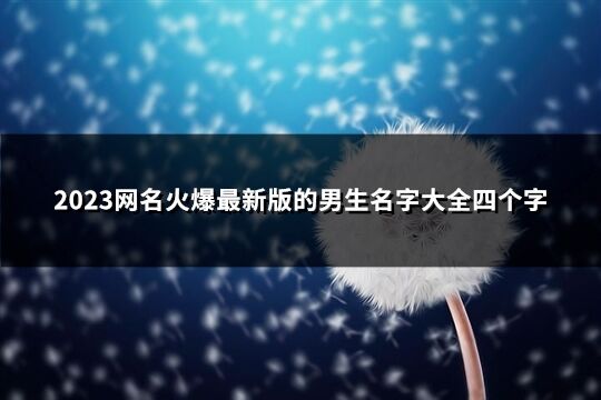 2023网名火爆最新版的男生名字大全四个字(优选749个)