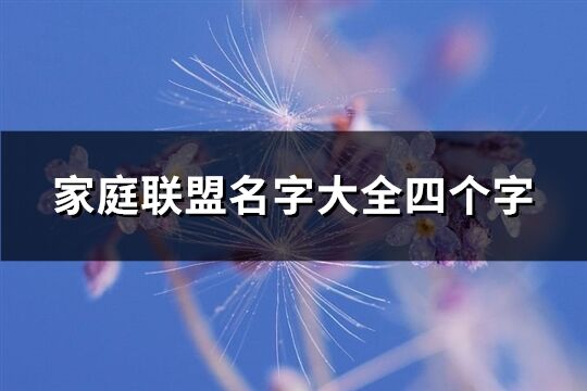 家庭联盟名字大全四个字(优选531个)