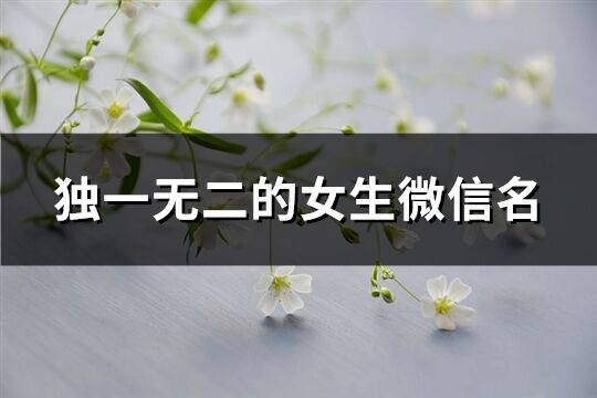 独一无二的女生微信名(优选101个)