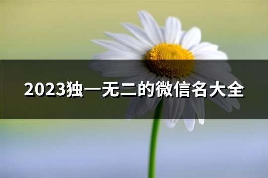 2023独一无二的微信名大全(精选3805个)