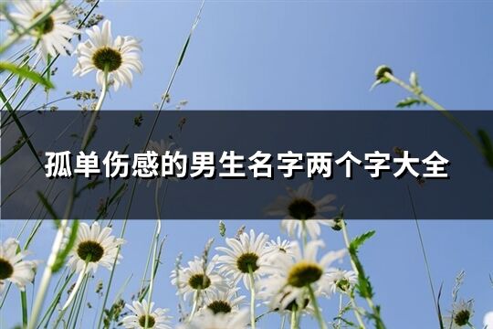 孤单伤感的男生名字两个字大全(共1083个)