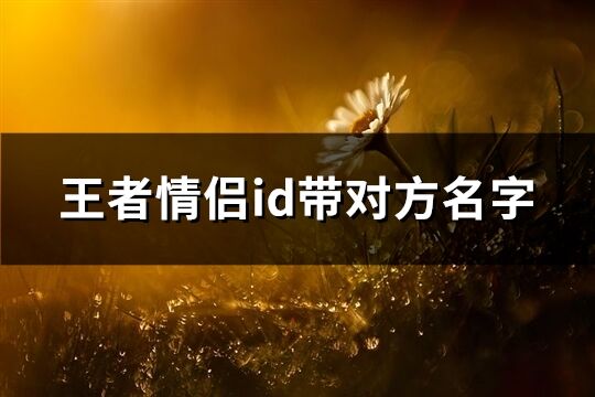 王者情侣id带对方名字(优选121个)