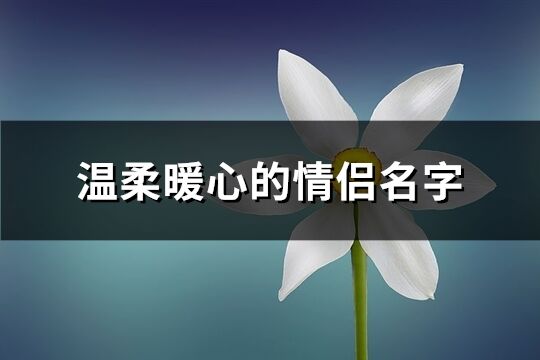 温柔暖心的情侣名字(精选100个)