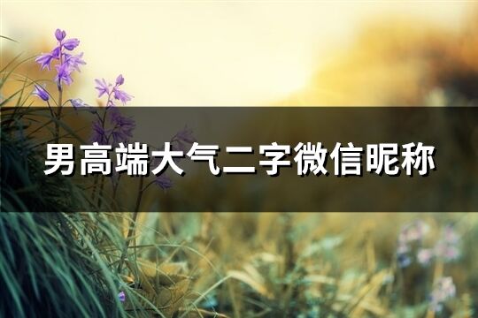 男高端大气二字微信昵称(246个)