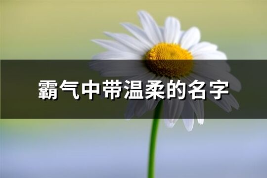 霸气中带温柔的名字(共182个)