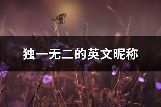 独一无二的英文昵称(精选151个)