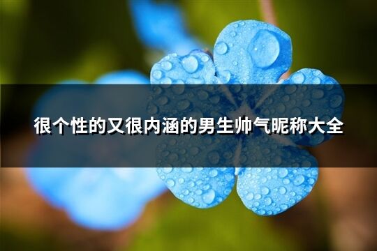 很个性的又很内涵的男生帅气昵称大全(共178个)