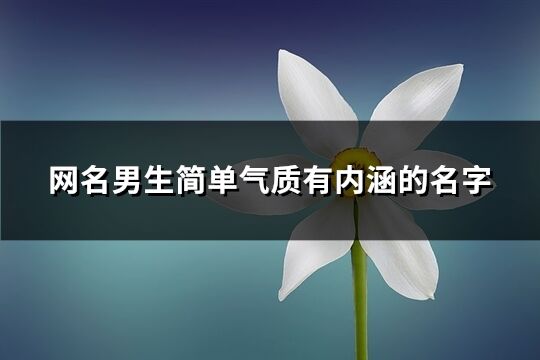 网名男生简单气质有内涵的名字(共428个)