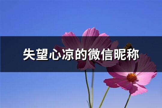 失望心凉的微信昵称(共229个)