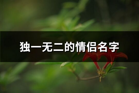 独一无二的情侣名字(优选379个)