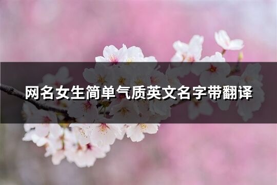 网名女生简单气质英文名字带翻译(精选86个)