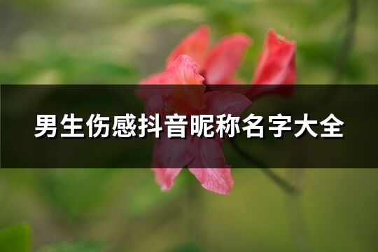 男生伤感抖音昵称名字大全(319个)