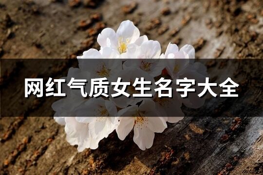 网红气质女生名字大全(281个)