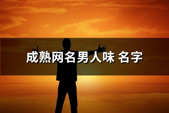 成熟网名男人味 名字(优选336个)