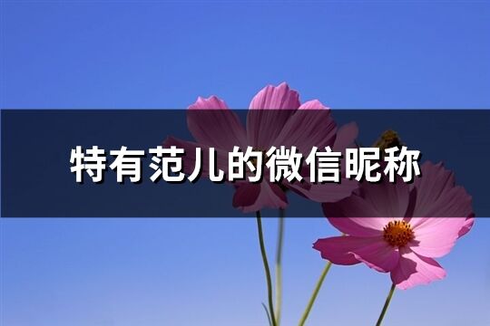 特有范儿的微信昵称(150个)