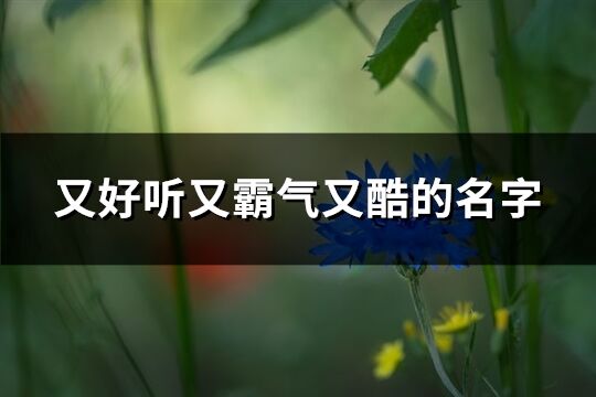 又好听又霸气又酷的名字(精选414个)