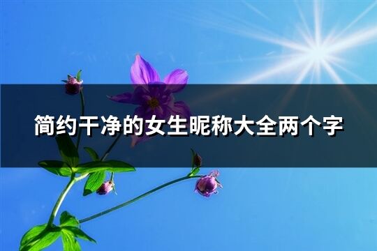 简约干净的女生昵称大全两个字(779个)