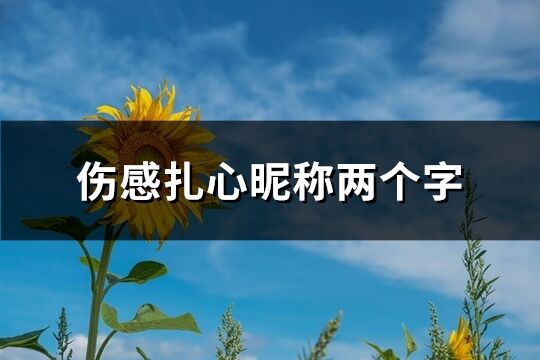 伤感扎心昵称两个字(244个)