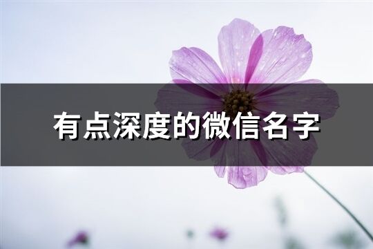 有点深度的微信名字(共443个)