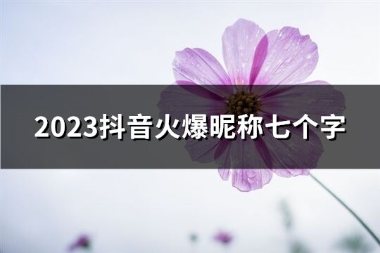 2023抖音火爆昵称七个字(精选97个)