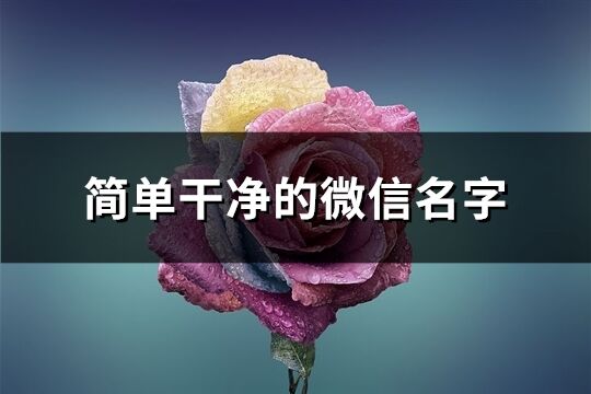 简单干净的微信名字(优选812个)