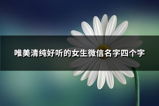 唯美清纯好听的女生微信名字四个字(精选598个)