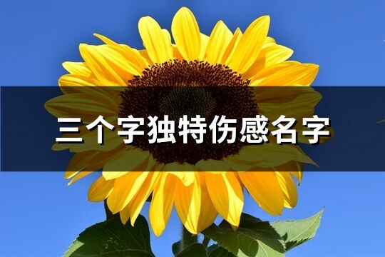 三个字独特伤感名字(优选1482个)