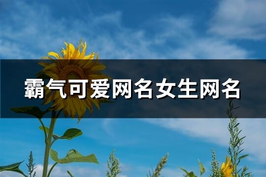 霸气可爱网名女生网名(精选186个)