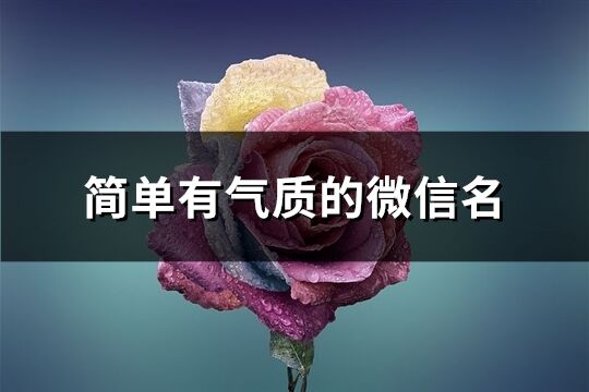 简单有气质的微信名(精选567个)